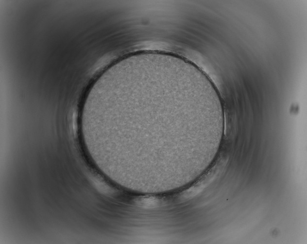 X0000102830253200809151046