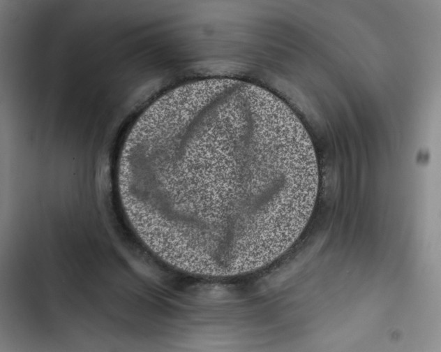 X0000102830254200809151046