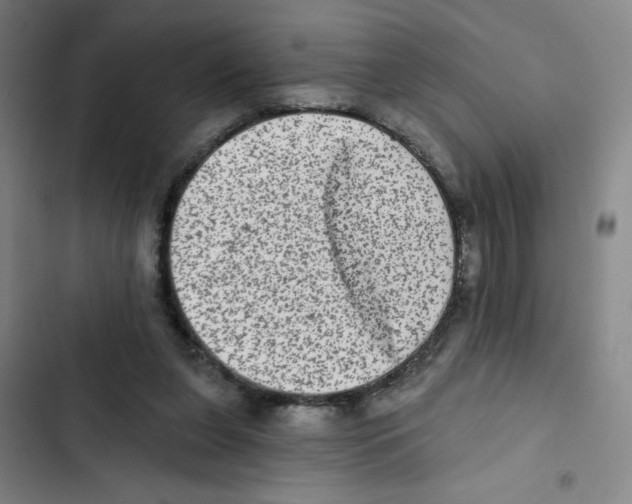 X0000102830255200809151046