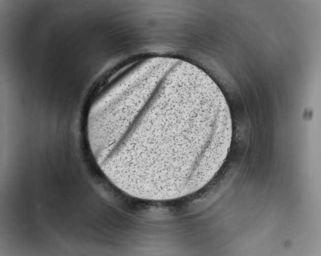 X0000102830256200809151046