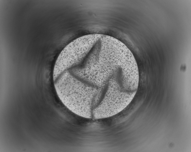 X0000102830259200809151047