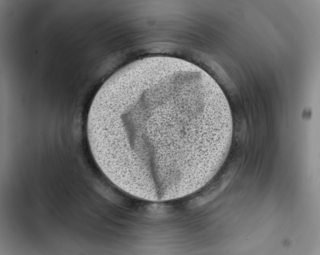 X0000102830261200809151047
