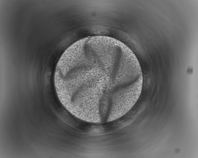 X0000102830263200809151047
