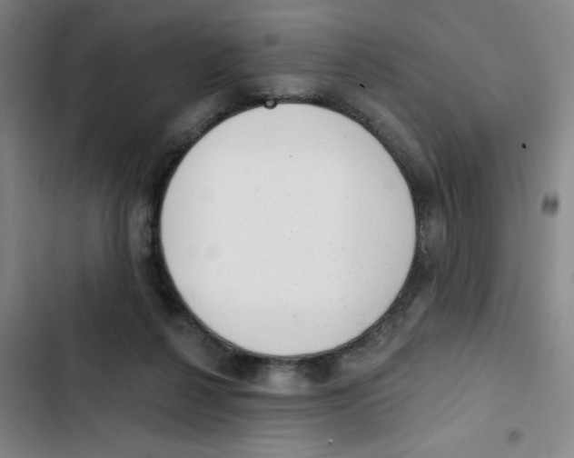 X0000102830264200809151047