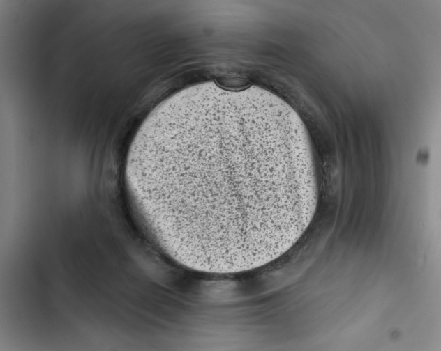 X0000102830266200809151047
