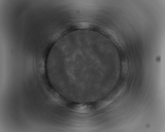 X0000102830267200809151047