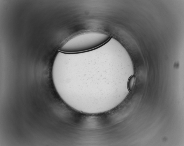 X0000102830268200809151047
