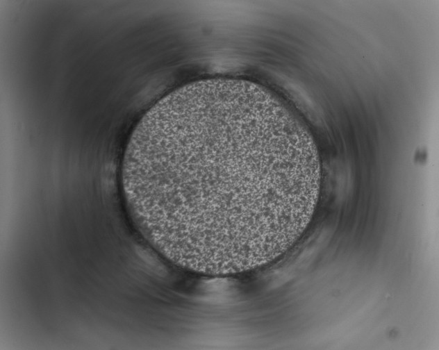X0000102830269200809151047