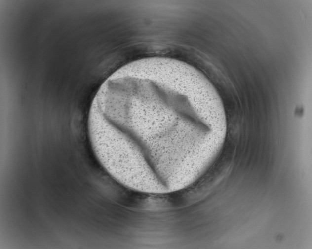 X0000102830270200809151047