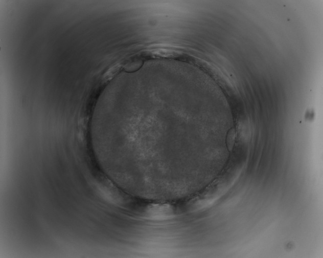 X0000102830271200809151047