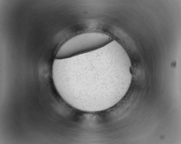 X0000102830272200809151047