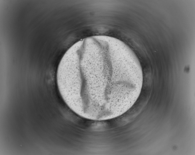X0000102830274200809151047