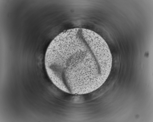 X0000102830275200809151047