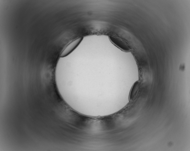X0000102830276200809151047