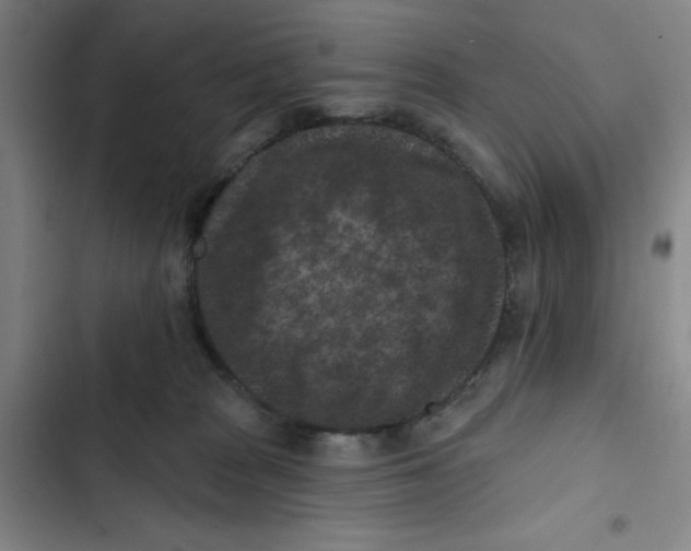 X0000102830277200809151047