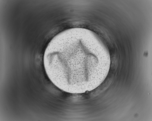 X0000102830278200809151047