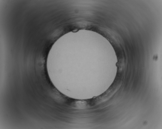 X0000102830279200809151047