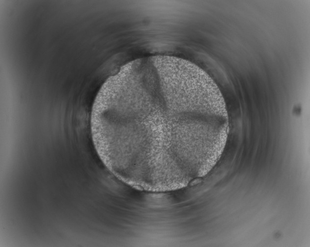 X0000102830281200809151047