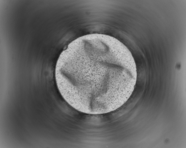 X0000102830282200809151047