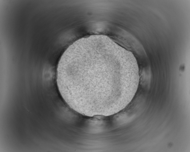 X0000102830284200809151047