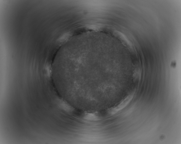 X0000102830285200809151047