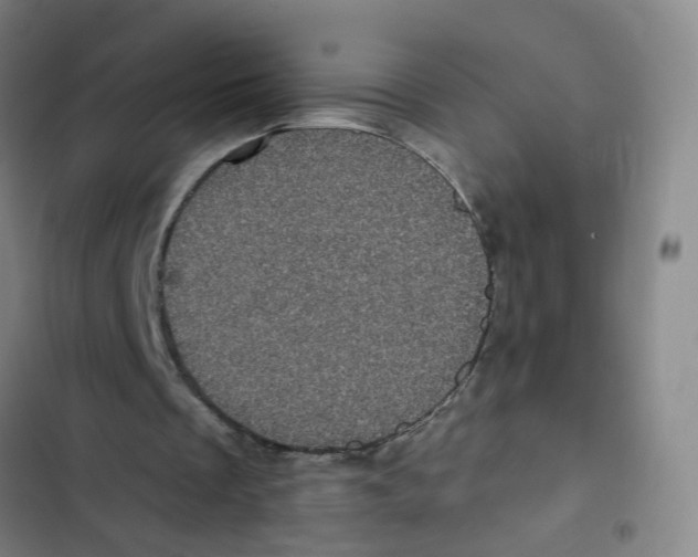 X0000102830289200809151046