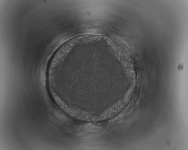 X0000102830290200809151046