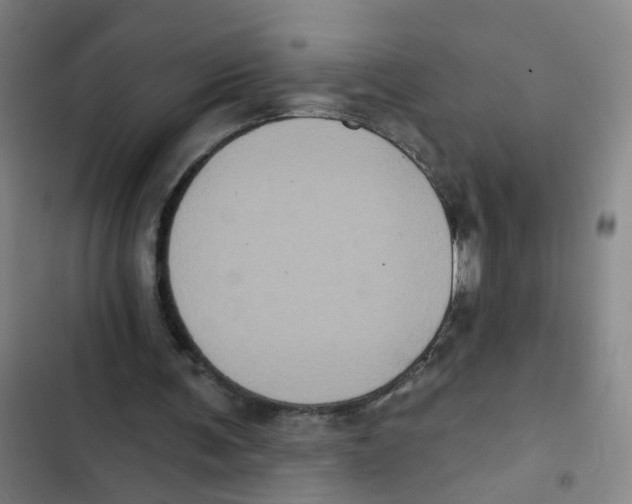 X0000102830291200809151046
