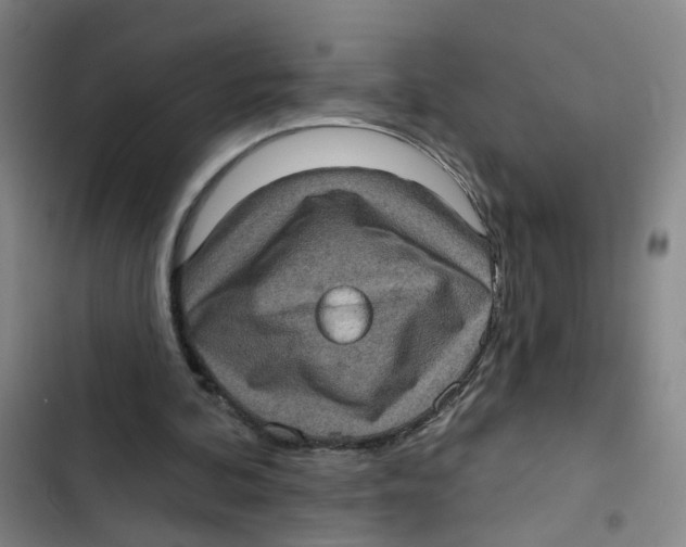 X0000102830292200809151046