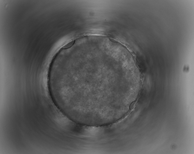 X0000102830293200809151046