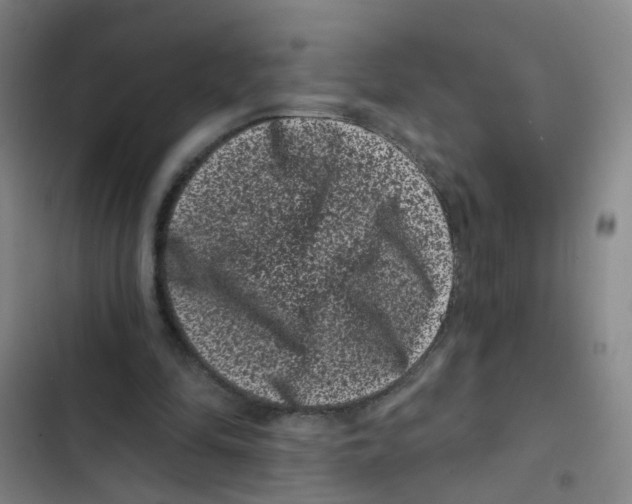 X0000102830294200809151046