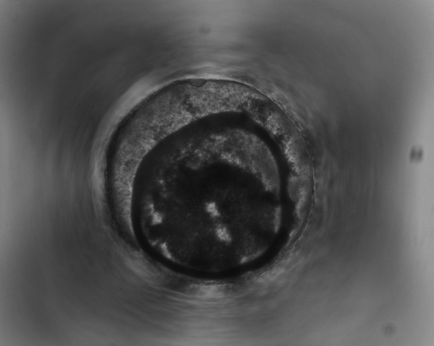 X0000102830295200809151046