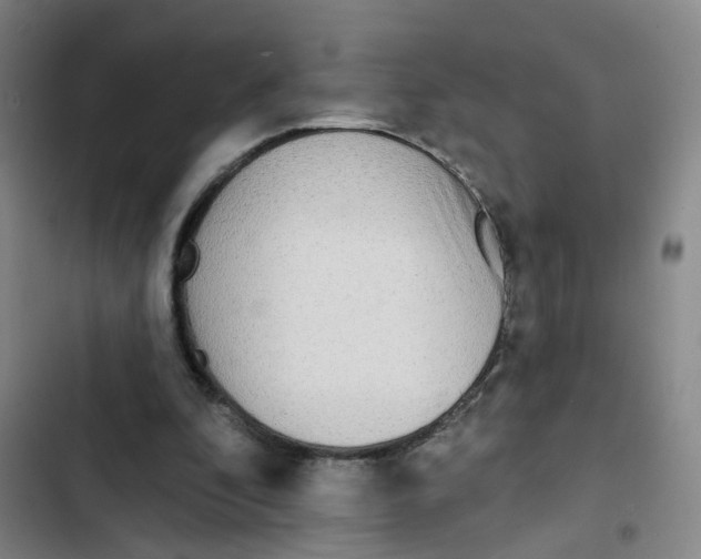 X0000102830296200809151046