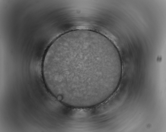 X0000102830297200809151046