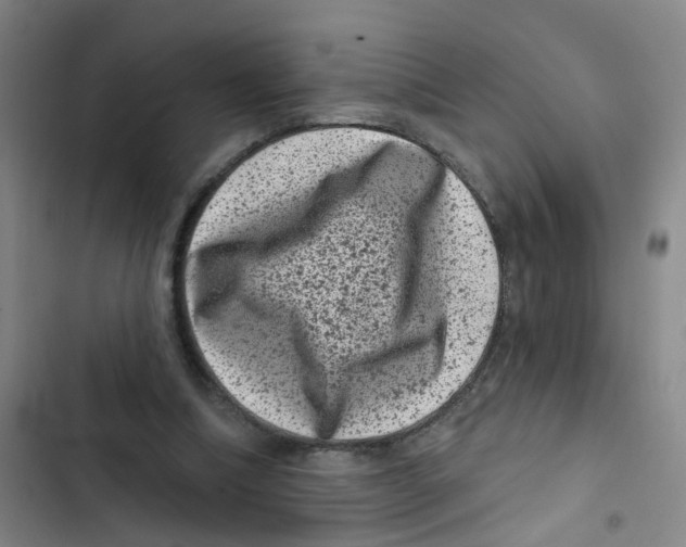 X0000102830298200809151046