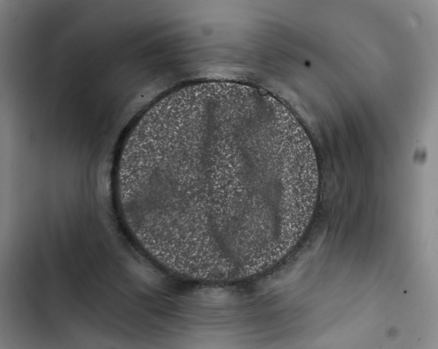 X0000102830299200809151046