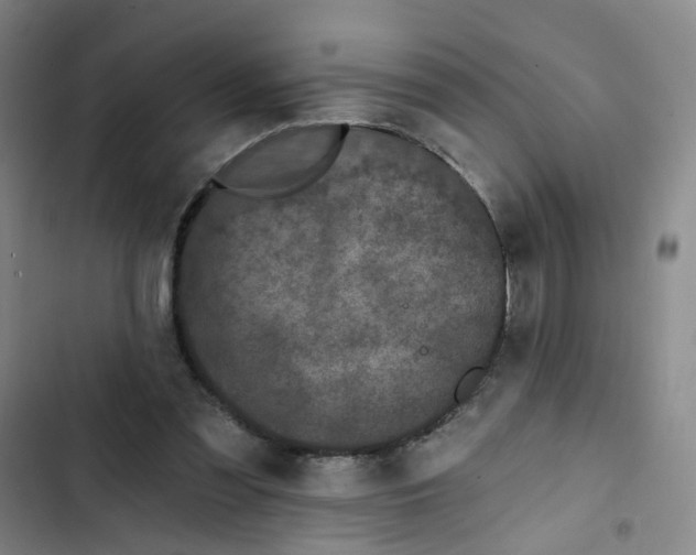 X0000102830301200809151046