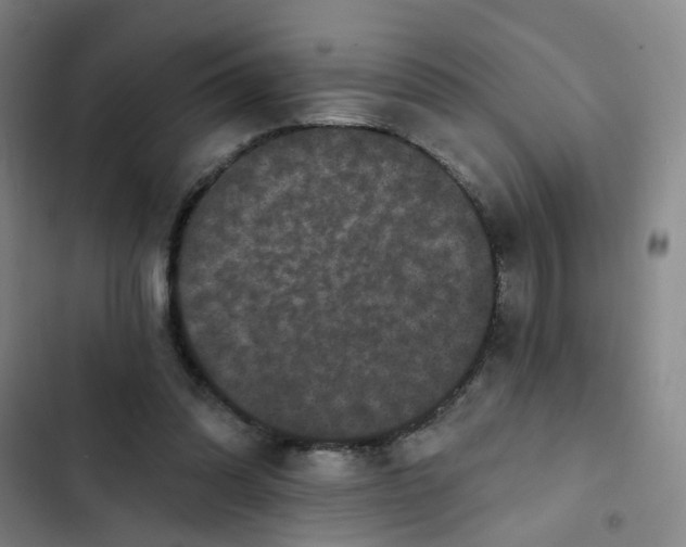 X0000102830302200809151046
