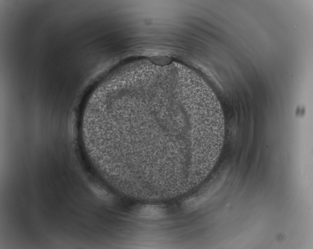 X0000102830303200809151046