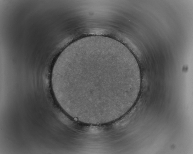 X0000102830305200809151046