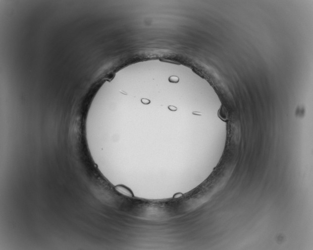 X0000102830308200809151046
