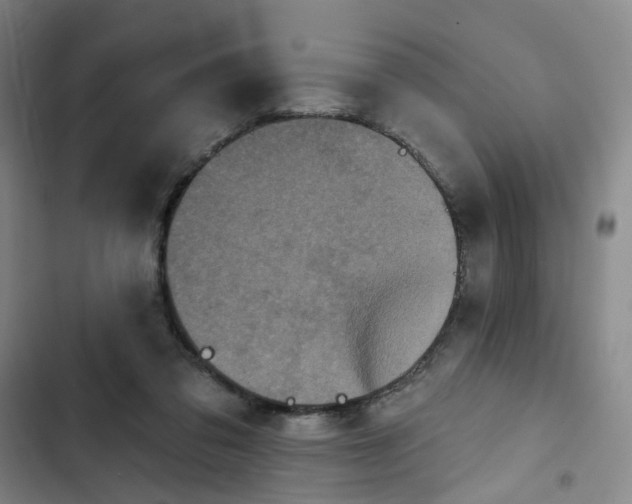 X0000102830309200809151046