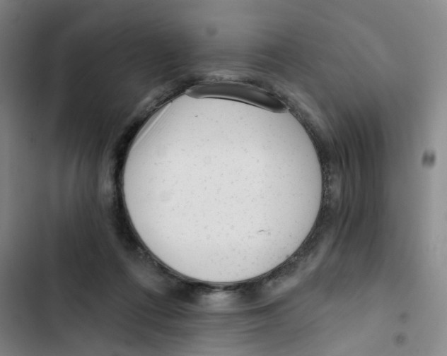 X0000102830312200809151046