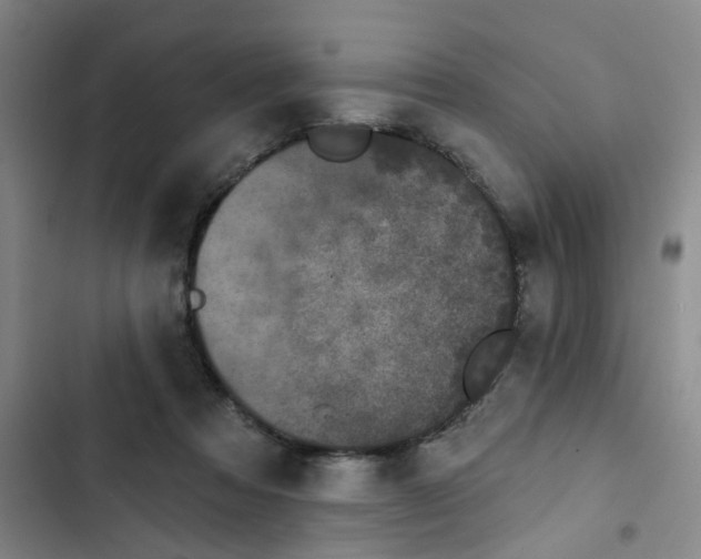 X0000102830313200809151046