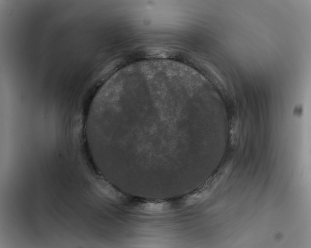 X0000102830314200809151046