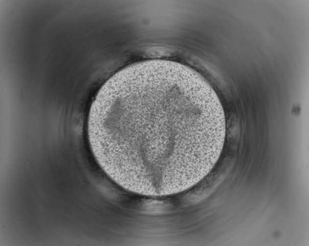 X0000102830315200809151046