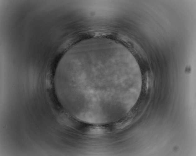 X0000102830316200809151046