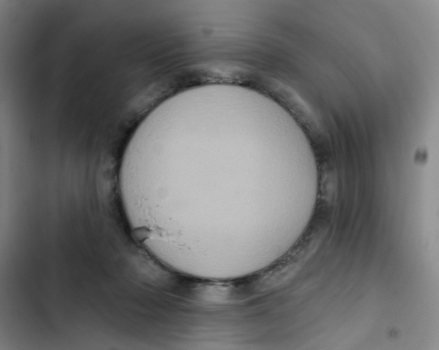 X0000102830318200809151046