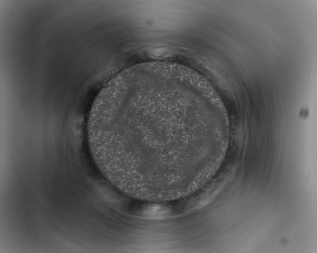 X0000102830319200809151046