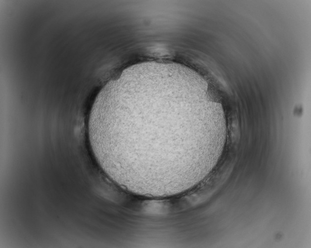 X0000102830320200809151046